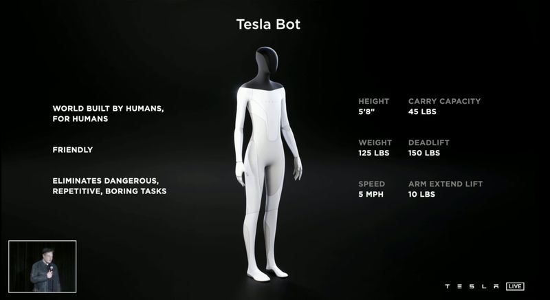 Tesla Bot : Optimus